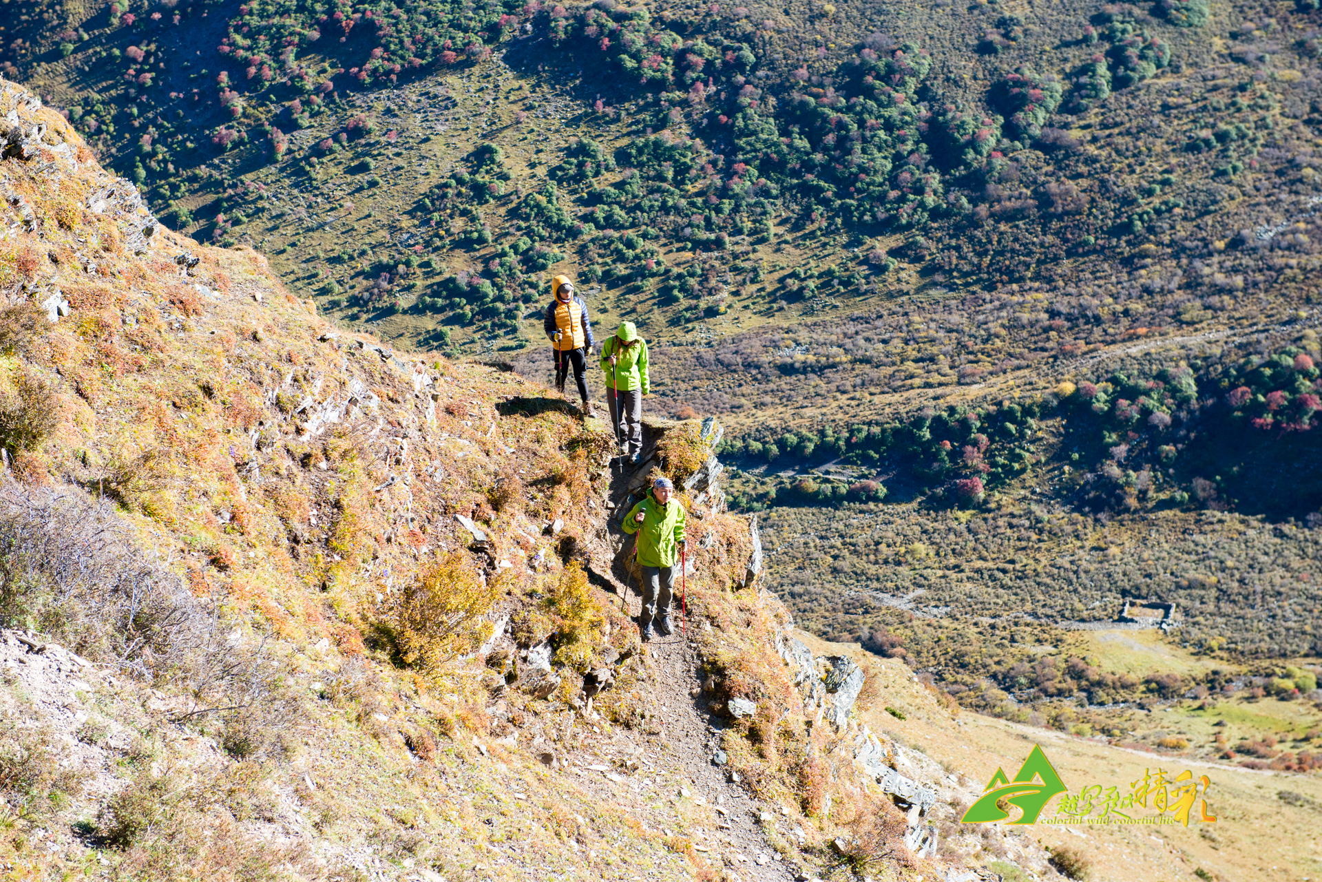 可比擬的魅 可比擬的魅