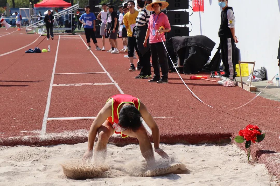 这不仅展示 这不仅展示