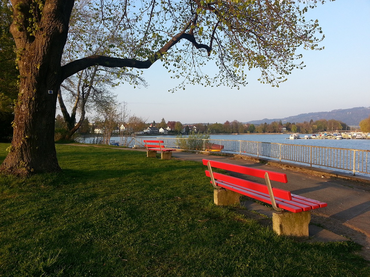 西部排名第 西部排名第