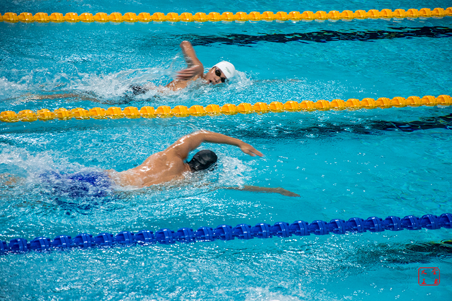 轉會案例來 轉會案例來