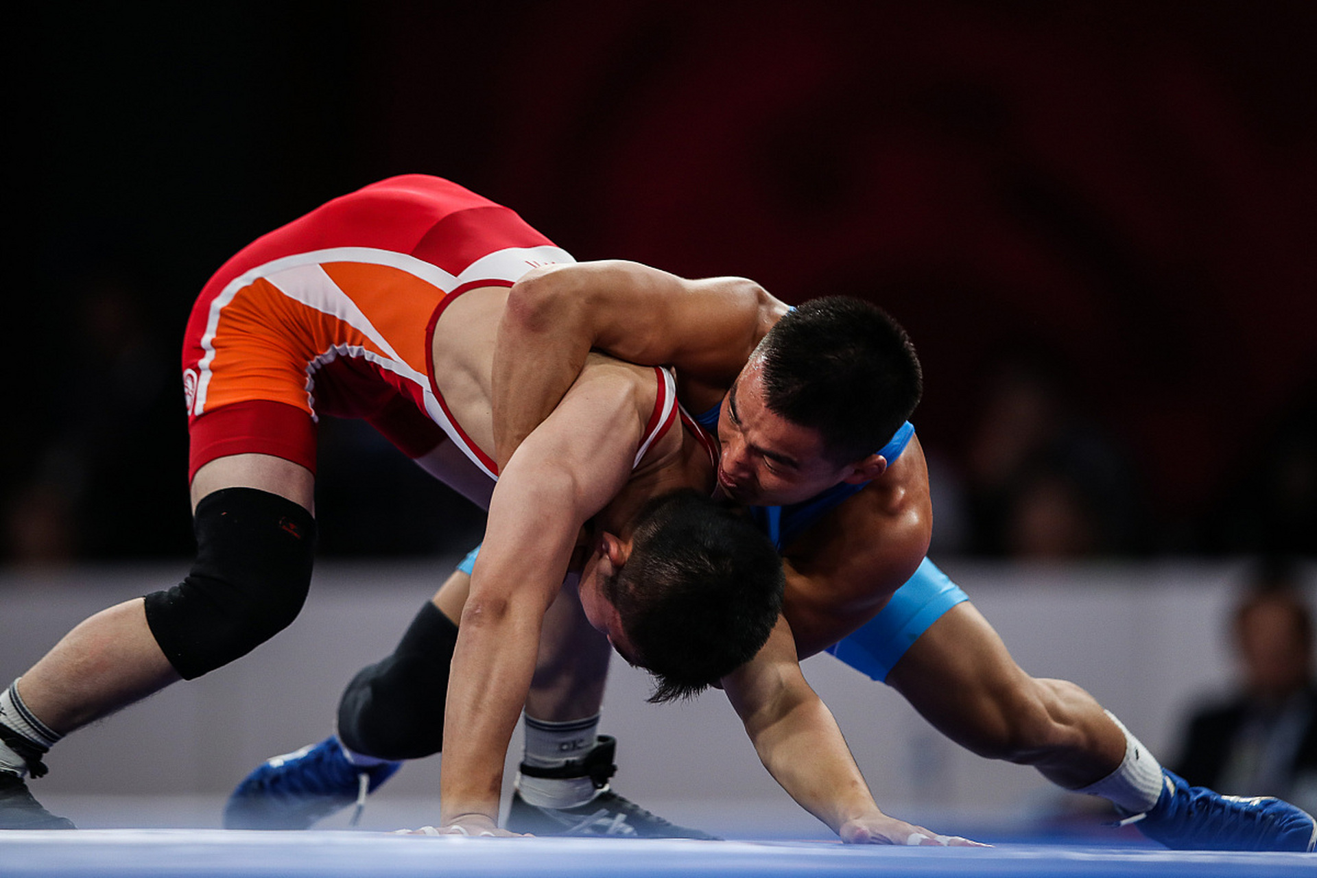 在推特上发 在推特上发